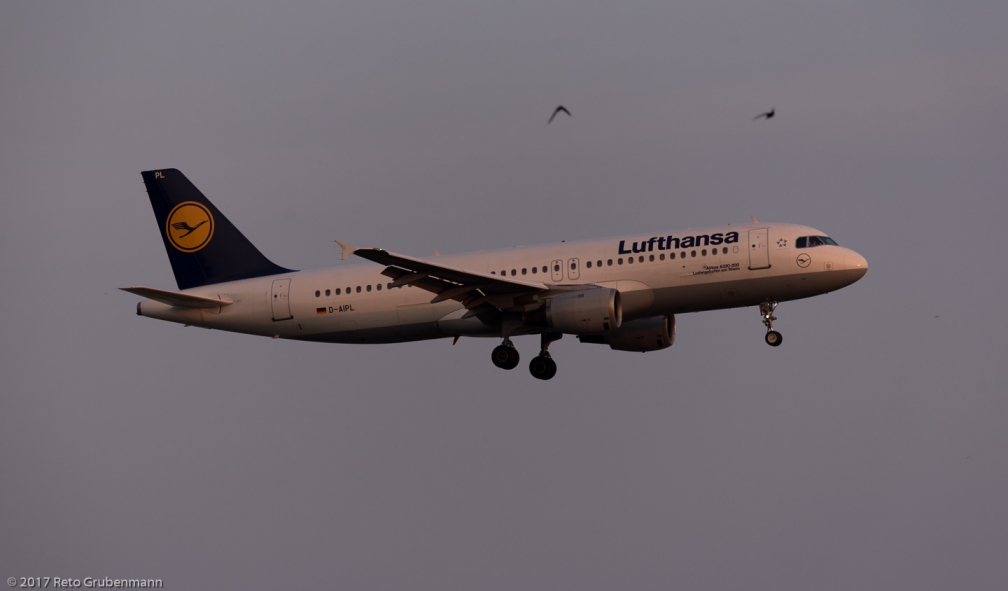 Lufthansa_A320_D-AIPL_ZRH170623