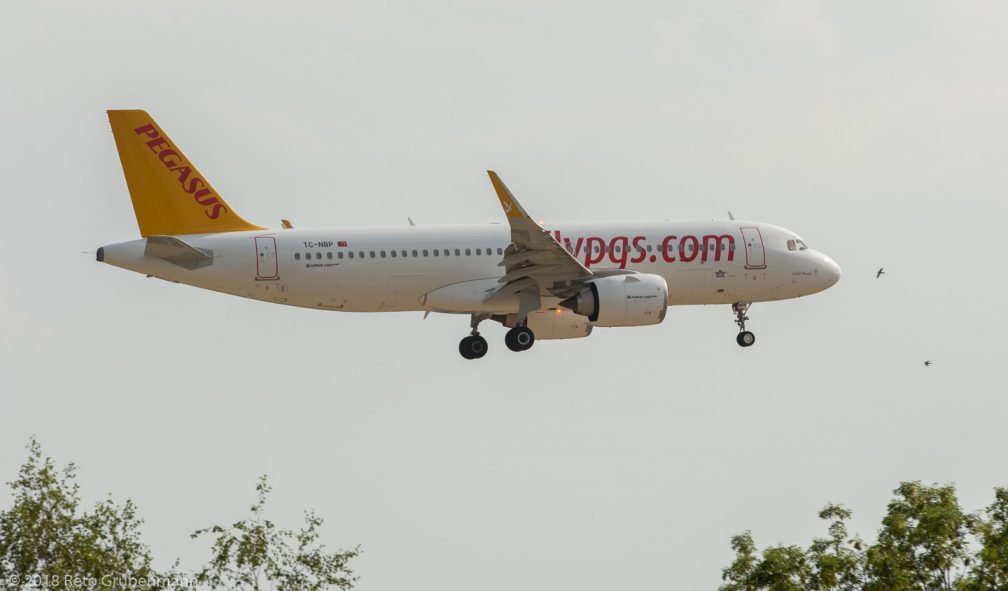 PegasusAirlines_A20N_TC-NBP_ZRH180804